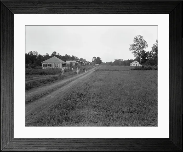 Framed Print : Delta cooperative farms in 1938, Hillhouse, Mississippi, 1938. Creator: Dorothea Lange Framed Print : Delta cooperative farms in 1938, Hillhouse, Mississippi, 1938. Creator: Dorothea Lange