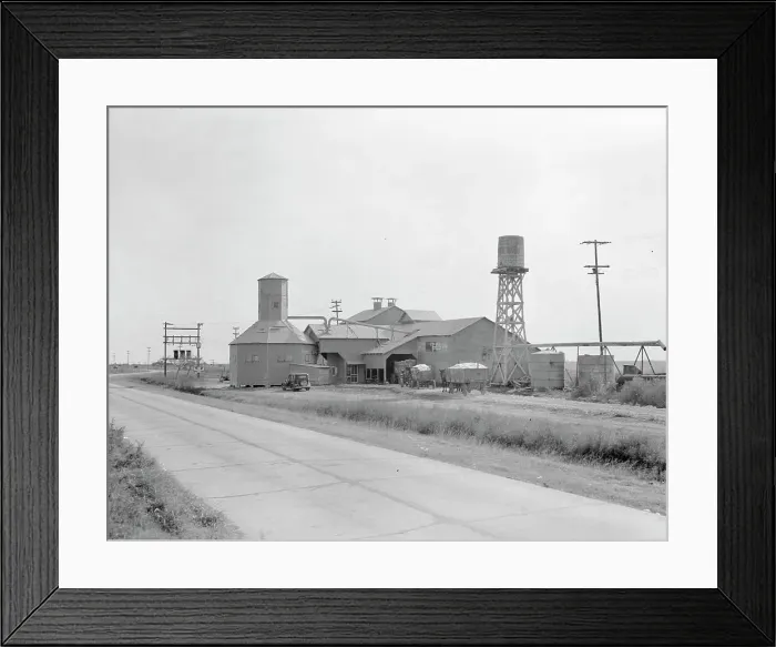 Framed Print : Cotton gin, Robstown, Texas, 1936. Creator: Dorothea Lange Framed Print : Cotton gin, Robstown, Texas, 1936. Creator: Dorothea Lange