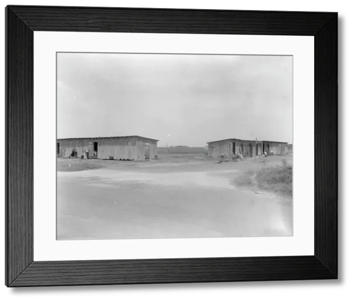 Framed Print : Cotton pickers camp near Robstown, Texas, 1936. Creator: Dorothea Lange Framed Print : Cotton pickers camp near Robstown, Texas, 1936. Creator: Dorothea Lange