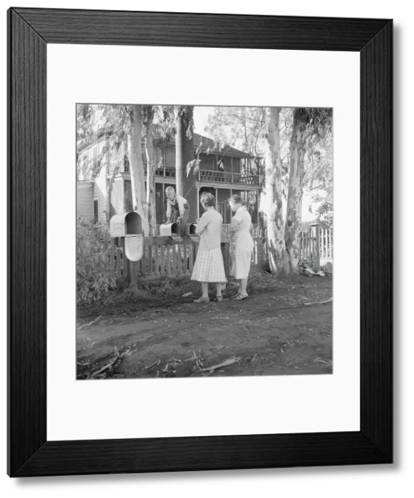 Framed Print : Morning mail at the Mineral King cooperative farm, FSA, Tulare County, California, 1938. Creator: Dorothea Lange Framed Print : Morning mail at the Mineral King cooperative farm, FSA, Tulare County, California, 1938. Creator: Dorothea Lange