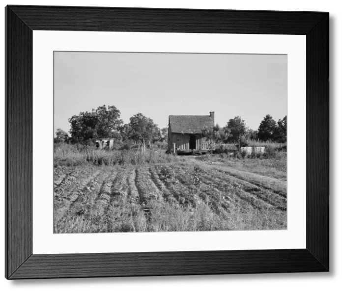 Framed Print : Home of Mississippi tenant farmer, 1937. Creator: Dorothea Lange Framed Print : Home of Mississippi tenant farmer, 1937. Creator: Dorothea Lange