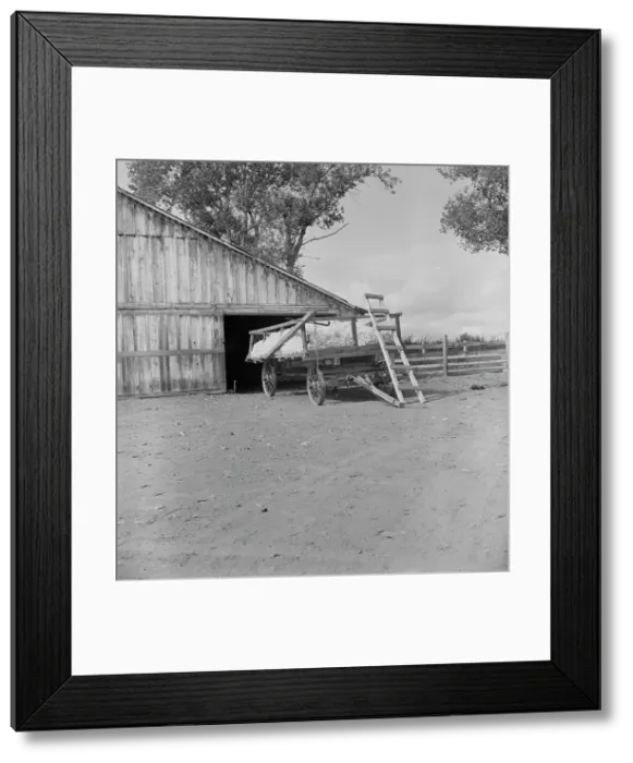 Framed Print : Yard barn and cotton wagon on small California cotton farm, Kern County, California, 1938. Creator: Dorothea Lange Framed Print : Yard barn and cotton wagon on small California cotton farm, Kern County, California, 1938. Creator: Dorothea Lange