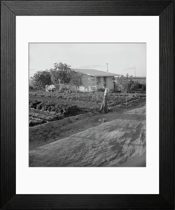 Framed Print : Type house at Garden Homes, Arvin (Kern County), California, 1938. Creator: Dorothea Lange Framed Print : Type house at Garden Homes, Arvin (Kern County), California, 1938. Creator: Dorothea Lange