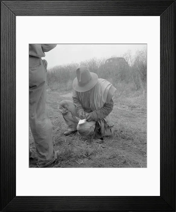 Framed Print : Tally, Cotton field in South Texas, 1936. Creator: Dorothea Lange Framed Print : Tally, Cotton field in South Texas, 1936. Creator: Dorothea Lange