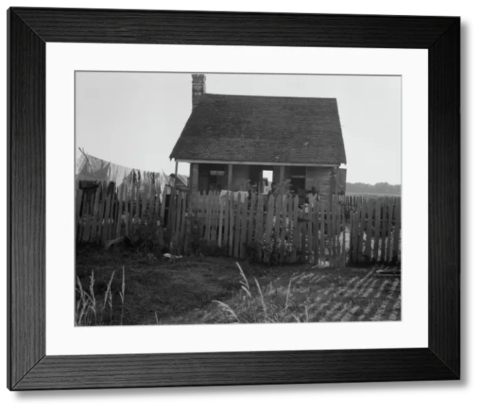 Framed Print : House on a cotton plantation in the Louisiana delta, 1937. Creator: Dorothea Lange Framed Print : House on a cotton plantation in the Louisiana delta, 1937. Creator: Dorothea Lange