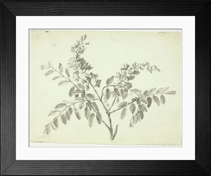 Framed Print : The Flowering Branch, n.d. Creator: Pierre Antoine Mongin Framed Print : The Flowering Branch, n.d. Creator: Pierre Antoine Mongin