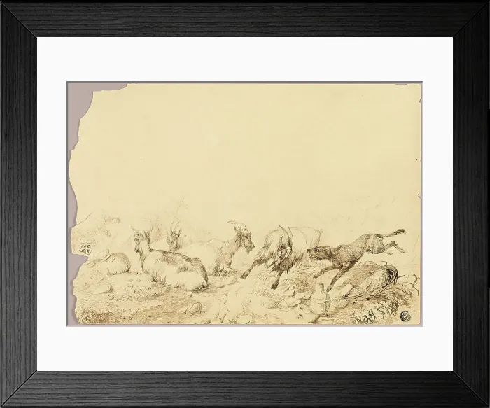 Framed Print : Mountain Goats and Dog, 18th century. Creator: Allwaert of Ghent Framed Print : Mountain Goats and Dog, 18th century. Creator: Allwaert of Ghent