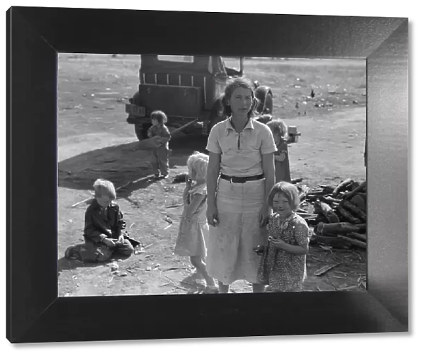 Oklahoma mother of five children, now picking cotton in California, near Fresno, 1936. Creator: Dorothea Lange