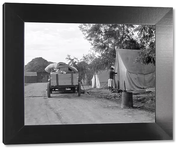 Cotton camp near Exeter, California, 1936. Creator: Dorothea Lange