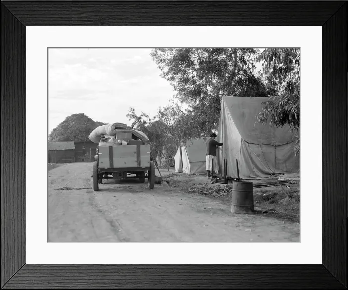Framed Print : Cotton camp near Exeter, California, 1936. Creator: Dorothea Lange Framed Print : Cotton camp near Exeter, California, 1936. Creator: Dorothea Lange