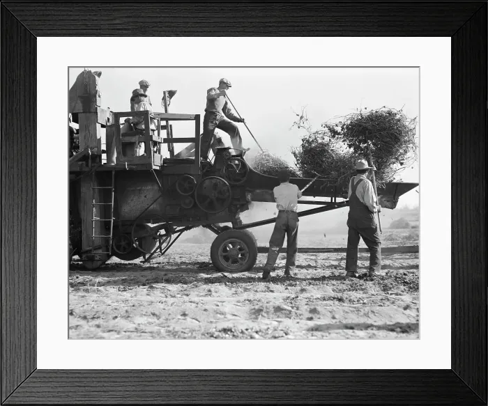 Framed Print : Bean thresher, mechanized agriculture between Turlock and Merced, California, 1936. Creator: Dorothea Lange Framed Print : Bean thresher, mechanized agriculture between Turlock and Merced, California, 1936. Creator: Dorothea Lange