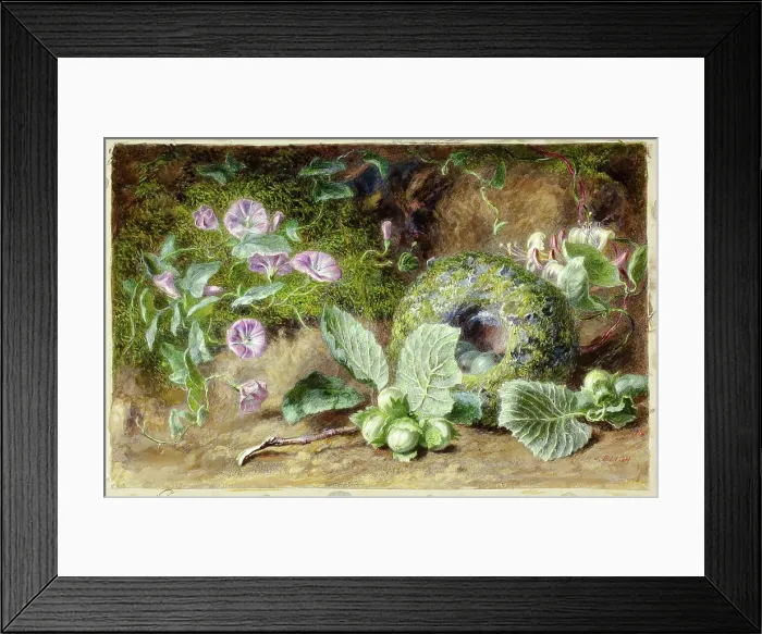 Framed Print : Convobuli and Nest, c. 1863. Creator: Jabez Bligh Framed Print : Convobuli and Nest, c. 1863. Creator: Jabez Bligh