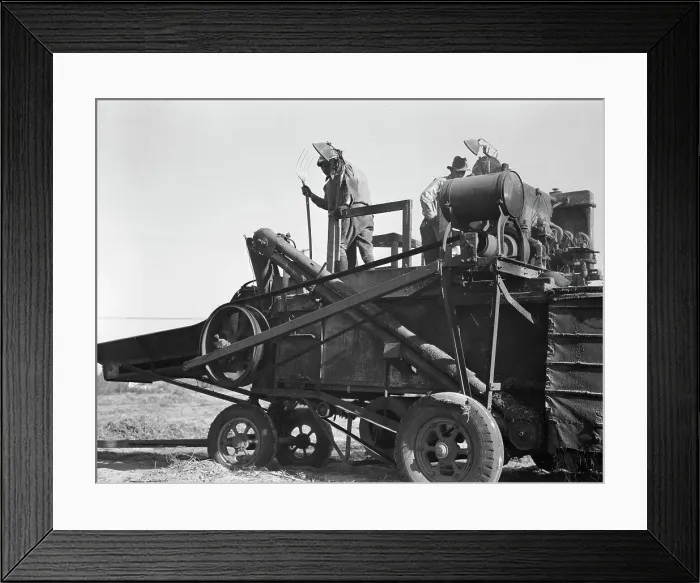Framed Print : Bean thresher, mechanized agriculture between Turlock and Merced, California, 1936. Creator: Dorothea Lange Framed Print : Bean thresher, mechanized agriculture between Turlock and Merced, California, 1936. Creator: Dorothea Lange