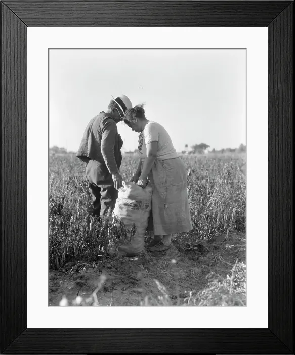Framed Print : Mexican townfolk sacking peppers near Stockton, California, 1936. Creator: Dorothea Lange Framed Print : Mexican townfolk sacking peppers near Stockton, California, 1936. Creator: Dorothea Lange