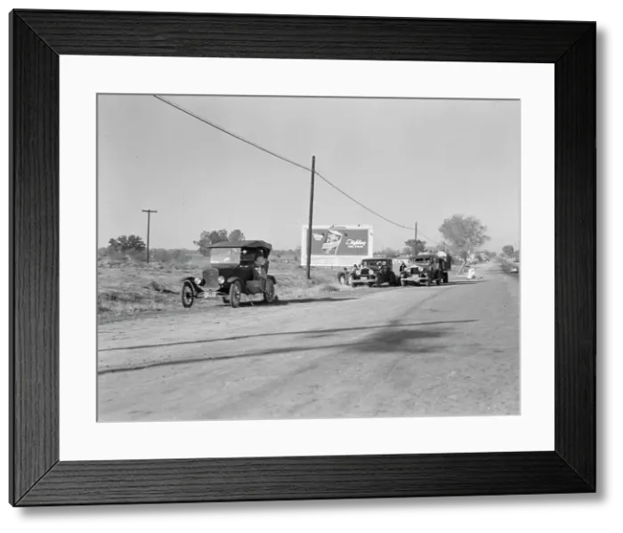 Framed Print : Three carloads of Mexicans headed for the Imperial Valley to harvest peas, near Bakersfield, CA, 1936 Creator: Dorothea Lange Framed Print : Three carloads of Mexicans headed for the Imperial Valley to harvest peas, near Bakersfield, CA, 1936 Creator: Dorothea Lange