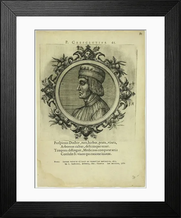 Framed Print : Portrait of P. Crescentius, published 1574. Creators: Unknown, Johannes Sambucus Framed Print : Portrait of P. Crescentius, published 1574. Creators: Unknown, Johannes Sambucus