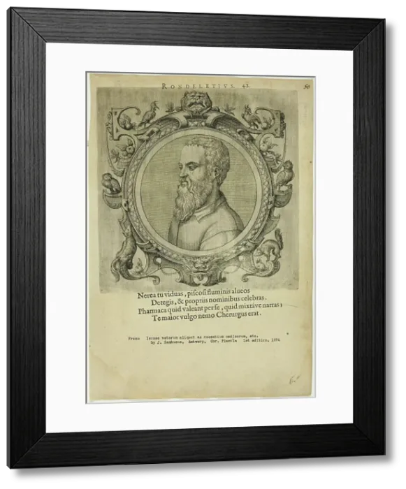 Framed Print : Portrait of Rondeletius, published 1574. Creators: Unknown, Johannes Sambucus Framed Print : Portrait of Rondeletius, published 1574. Creators: Unknown, Johannes Sambucus