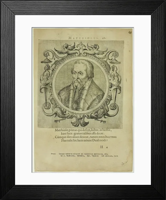 Framed Print : Portrait of Matthiolus, published 1574. Creators: Unknown, Johannes Sambucus Framed Print : Portrait of Matthiolus, published 1574. Creators: Unknown, Johannes Sambucus