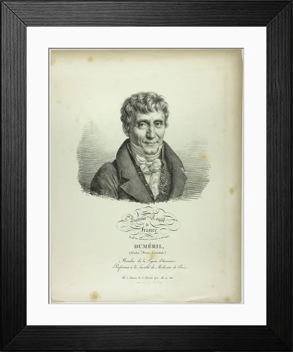 Framed Print : Portrait of André-Marie-Constant Duméril, 1822. Creator: Julien Leopold Boilly Framed Print : Portrait of André-Marie-Constant Duméril, 1822. Creator: Julien Leopold Boilly