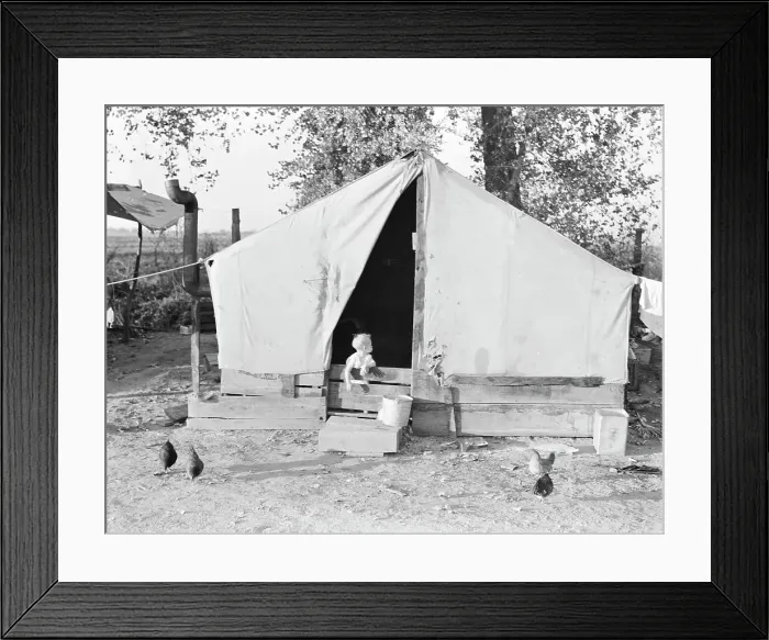 Framed Print : Migratory orange picker's camp, Exeter, California, 1936. Creator: Dorothea Lange Framed Print : Migratory orange picker's camp, Exeter, California, 1936. Creator: Dorothea Lange