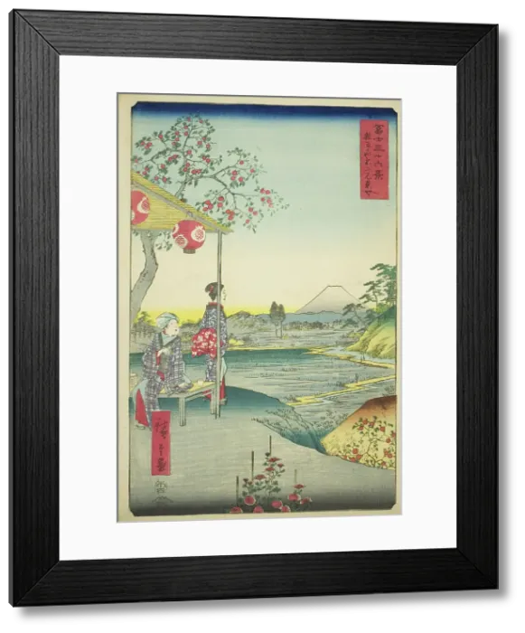 Framed Print : View of Mount Fuji from a Teahouse at Zoshigaya (Zoshigaya Fujimi chaya), from the... 1858. Creator: Ando Hiroshige Framed Print : View of Mount Fuji from a Teahouse at Zoshigaya (Zoshigaya Fujimi chaya), from the... 1858. Creator: Ando Hiroshige