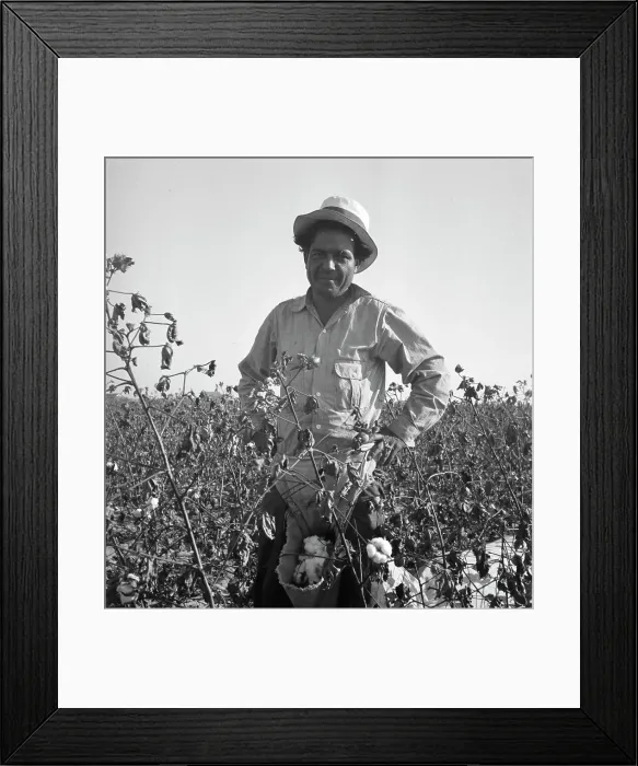 Framed Print : Cotton picker, San Joaquin Valley, California, 1936. Creator: Dorothea Lange Framed Print : Cotton picker, San Joaquin Valley, California, 1936. Creator: Dorothea Lange