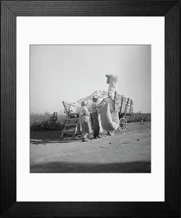 Framed Print : Cotton picker, San Joaquin Valley, California, 1936. Creator: Dorothea Lange Framed Print : Cotton picker, San Joaquin Valley, California, 1936. Creator: Dorothea Lange