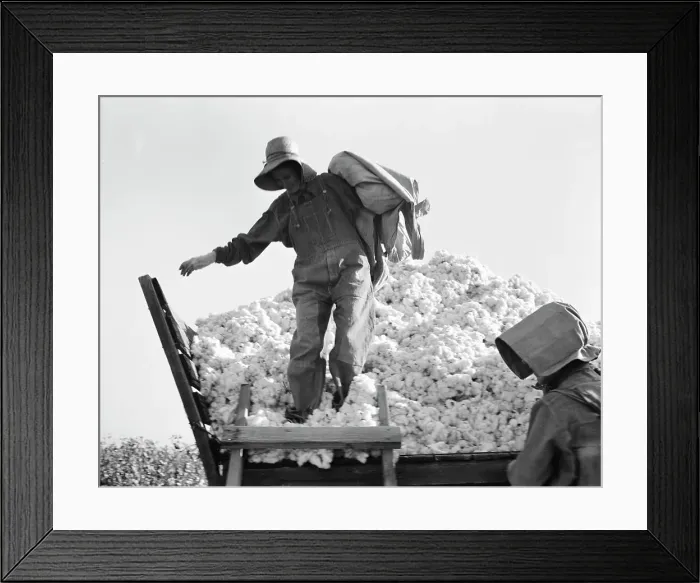 Framed Print : Cotton picker, San Joaquin Valley, California, 1936. Creator: Dorothea Lange Framed Print : Cotton picker, San Joaquin Valley, California, 1936. Creator: Dorothea Lange