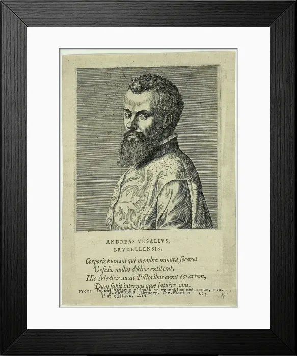 Framed Print : Portrait of Doctor Andreas Vesalius of Brussels, published 1574. Creators: Unknown, Johannes Sambucus Framed Print : Portrait of Doctor Andreas Vesalius of Brussels, published 1574. Creators: Unknown, Johannes Sambucus