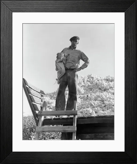Framed Print : Cotton picker, Southern San Joaquin Valley, California, 1936. Creator: Dorothea Lange Framed Print : Cotton picker, Southern San Joaquin Valley, California, 1936. Creator: Dorothea Lange
