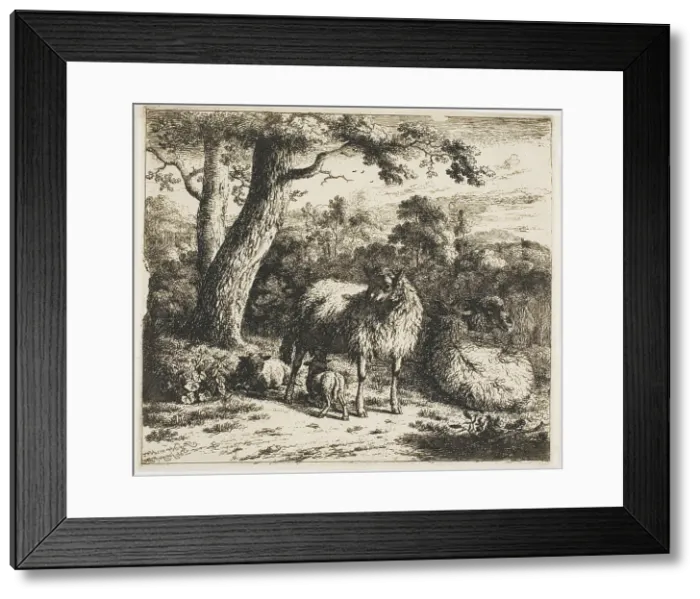 Framed Print : Standing Sheep and Two Lambs, 1685. Creator: Jan van der Meer Framed Print : Standing Sheep and Two Lambs, 1685. Creator: Jan van der Meer
