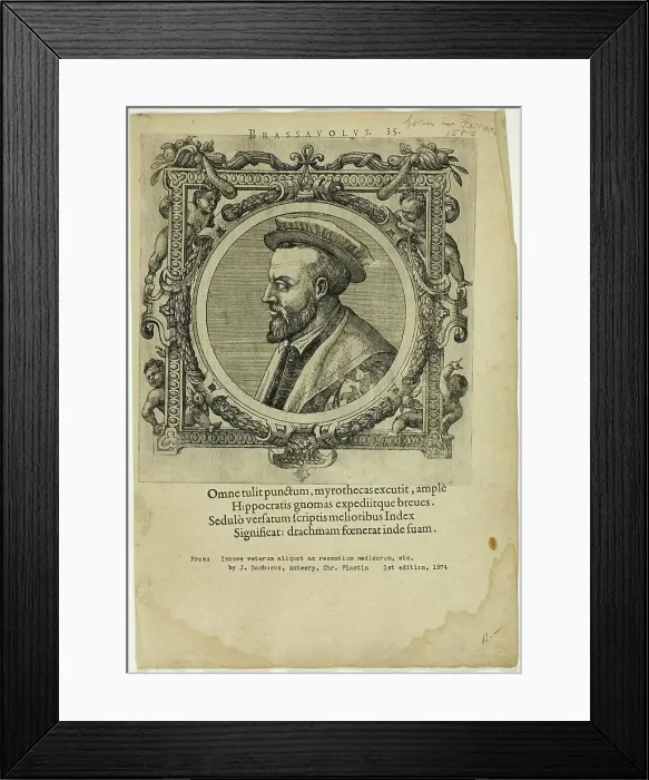 Framed Print : Portrait of Brassauolus, published 1574. Creators: Unknown, Johannes Sambucus Framed Print : Portrait of Brassauolus, published 1574. Creators: Unknown, Johannes Sambucus