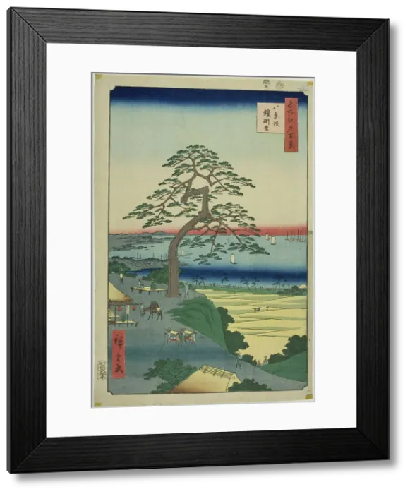 Framed Print : The Armor-hanging Pine at Hakkeizaka (Hakkeizaka Yoroikakematsu), from the series... 1856. Creator: Ando Hiroshige Framed Print : The Armor-hanging Pine at Hakkeizaka (Hakkeizaka Yoroikakematsu), from the series... 1856. Creator: Ando Hiroshige