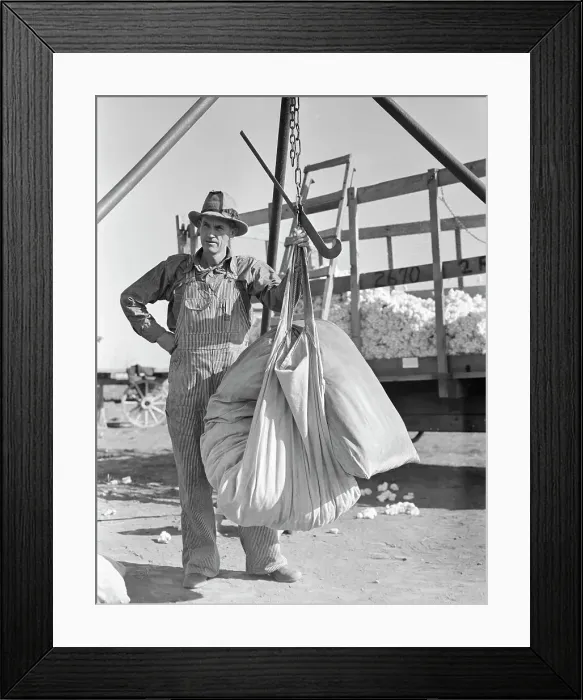 Framed Print : Weighing in cotton, Southern San Joaquin Valley, California, 1936. Creator: Dorothea Lange Framed Print : Weighing in cotton, Southern San Joaquin Valley, California, 1936. Creator: Dorothea Lange