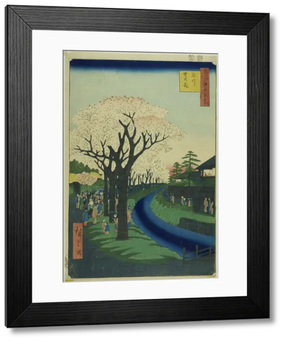 Framed Print : Blossoms on the Tama River Embankment (Tamagawa-zutsumi no hana), from the series... 1856. Creator: Ando Hiroshige Framed Print : Blossoms on the Tama River Embankment (Tamagawa-zutsumi no hana), from the series... 1856. Creator: Ando Hiroshige