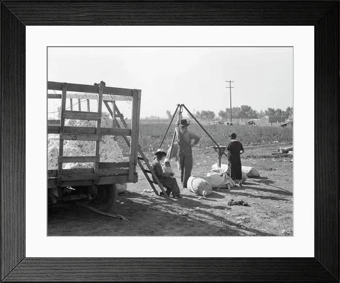 Framed Print : Cotton weigher, Southern San Joaquin Valley, California, 1936. Creator: Dorothea Lange Framed Print : Cotton weigher, Southern San Joaquin Valley, California, 1936. Creator: Dorothea Lange