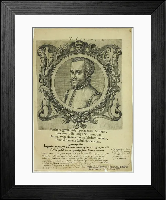 Framed Print : Portrait of V. Cordus, published 1574. Creators: Unknown, Johannes Sambucus Framed Print : Portrait of V. Cordus, published 1574. Creators: Unknown, Johannes Sambucus