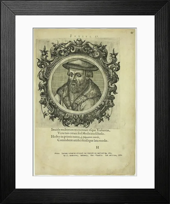 Framed Print : Portrait of Fuxius, published 1574. Creators: Unknown, Johannes Sambucus Framed Print : Portrait of Fuxius, published 1574. Creators: Unknown, Johannes Sambucus