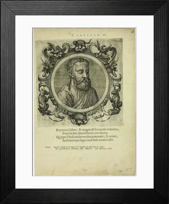 Framed Print : Portrait of Crateuas, published 1574. Creators: Unknown, Johannes Sambucus Framed Print : Portrait of Crateuas, published 1574. Creators: Unknown, Johannes Sambucus