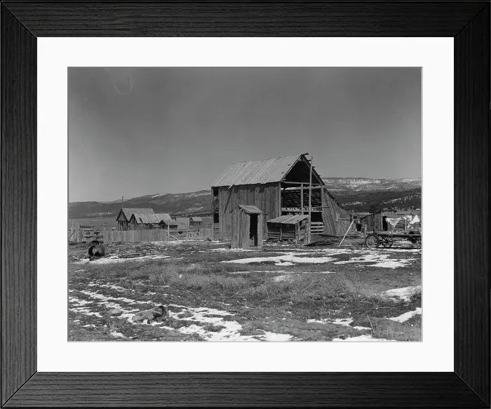 Framed Print : Farm buildings in the purchase area, Widtsoe, Utah, 1936. Creator: Dorothea Lange Framed Print : Farm buildings in the purchase area, Widtsoe, Utah, 1936. Creator: Dorothea Lange