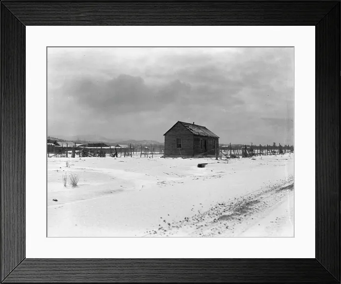 Framed Print : Typical home, still occupied, Widtsoe, Utah, 1936. Creator: Dorothea Lange Framed Print : Typical home, still occupied, Widtsoe, Utah, 1936. Creator: Dorothea Lange
