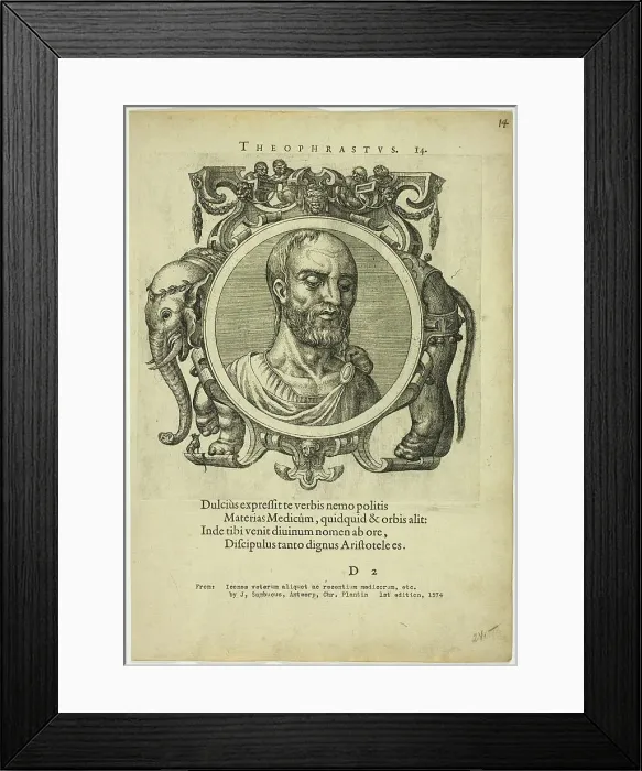 Framed Print : Portrait of Theophrastus, published 1574. Creators: Unknown, Johannes Sambucus Framed Print : Portrait of Theophrastus, published 1574. Creators: Unknown, Johannes Sambucus