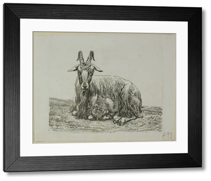 Framed Print : Lying Goat, from Die Zweite Thierfolge, 1800. Creator: Johann Christian Reinhart Framed Print : Lying Goat, from Die Zweite Thierfolge, 1800. Creator: Johann Christian Reinhart