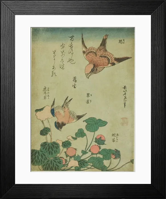Framed Print : Bull-headed Shrike and Bluebird with Saxifrage and Wild Strawberry (Mozu, ruri... c. 1834. Creator: Hokusai) Framed Print : Bull-headed Shrike and Bluebird with Saxifrage and Wild Strawberry (Mozu, ruri... c. 1834. Creator: Hokusai)