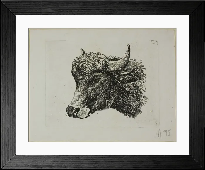 Framed Print : Buffalo Head Facing Left, from Die Zweite Thierfolge, 1799 / 1803. Creator: Johann Christian Reinhart