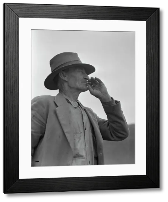 Framed Print : This man is a labor contractor in the pea fields of California, 1936 Creator: Dorothea Lange Framed Print : This man is a labor contractor in the pea fields of California, 1936 Creator: Dorothea Lange