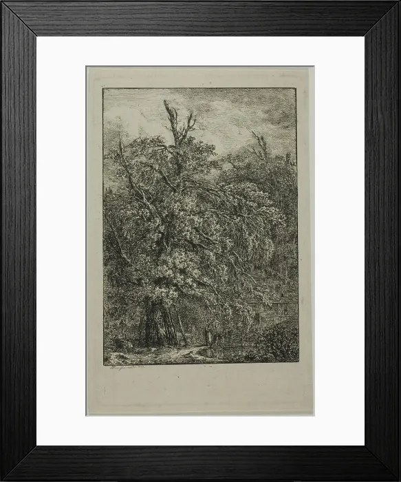 Framed Print : Great Tree, 1809. Creator: Domenico Quaglio II Framed Print : Great Tree, 1809. Creator: Domenico Quaglio II