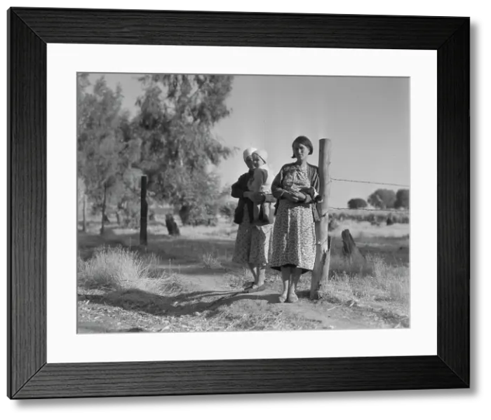 Framed Print : Pregnant migrant woman... squatter camp, Kern County, 1936. Creator: Dorothea Lange Framed Print : Pregnant migrant woman... squatter camp, Kern County, 1936. Creator: Dorothea Lange