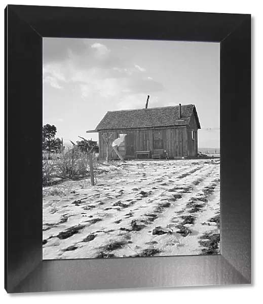 Widtsoe farm home, Resettlement Administration purchase, Utah, 1936. Creator: Dorothea Lange