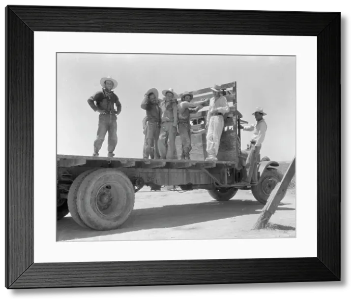 Framed Print : Off for the melon fields (Mexican labor), 1935. Creator: Dorothea Lange Framed Print : Off for the melon fields (Mexican labor), 1935. Creator: Dorothea Lange